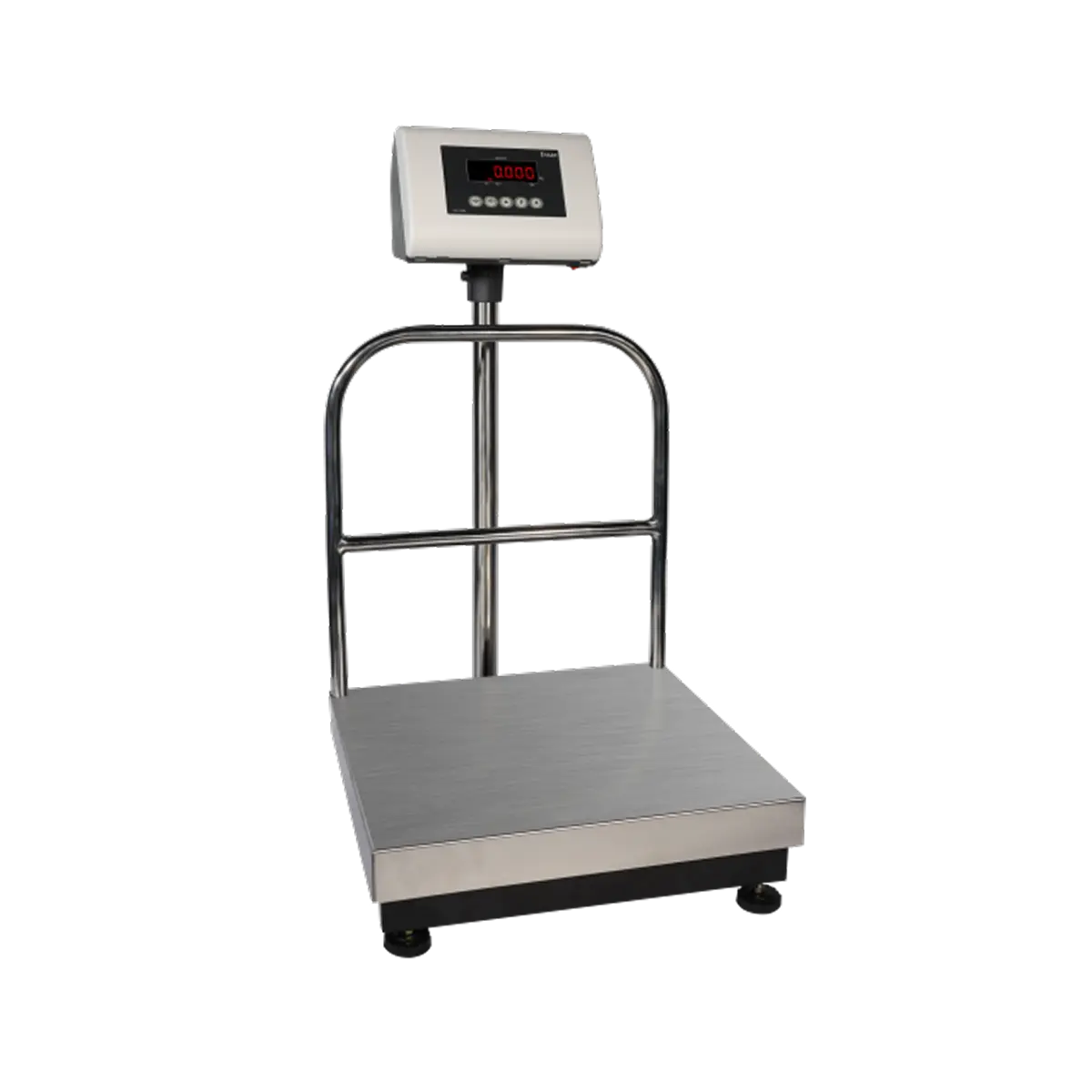 DS-215N Platform weighing scale - Image 2